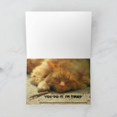 Tired Kitty veut que vous finissiez sa carte (Intérieur)