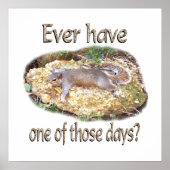 Tired Squirrel Poster (Voorkant)