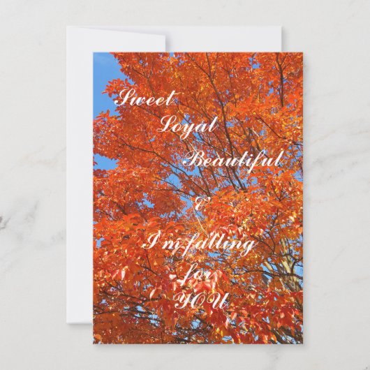 Tirer Votre Capture Sur Sa Carte De Voeux Plat (Devant)