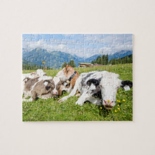 Tirol, Oostenrijk Legpuzzel