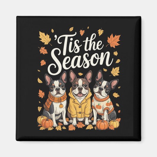 Tis The Season Boston Terrier Fall Autumn Pumpkin Magneet (Voorkant)