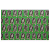 Tissu 1923 Colliers et chemises à flèche (Fat Quarter)