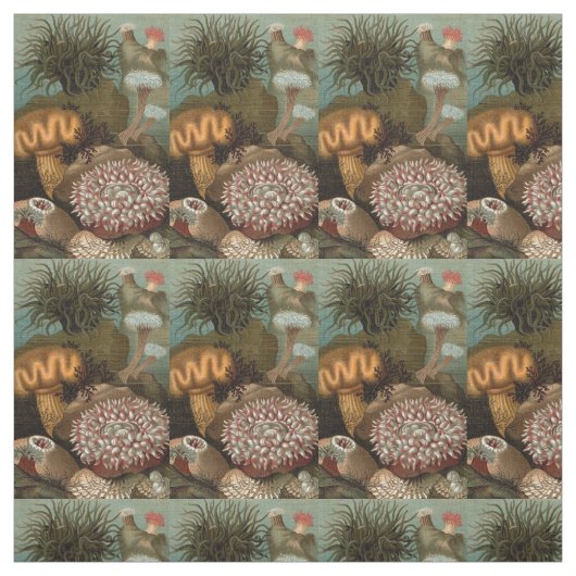 Tissu 19e century print sea anemones (Échantillon)