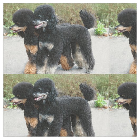 Tissu 2 caniches pleins (Fermer)