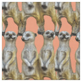 Tissu 3 Meerkats debats Thunder_Cove (Fermer)
