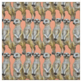 Tissu 3 Meerkats debats Thunder_Cove (Échantillon)