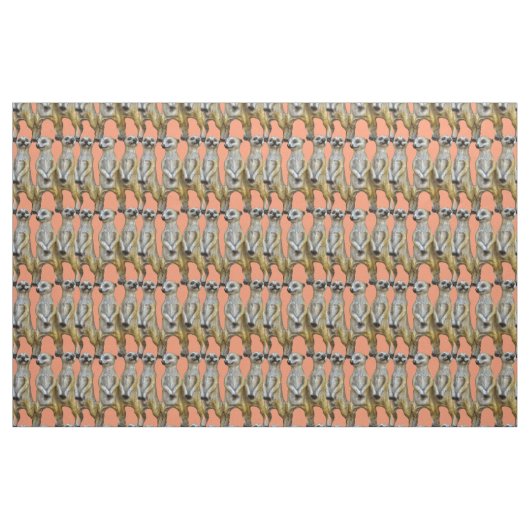Tissu 3 Meerkats debats Thunder_Cove (Fat Quarter)