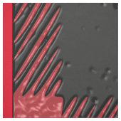 Tissu à carreaux rouges (Échantillon)
