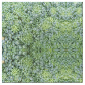 Tissu à motif macro de brocolis (Fermer)