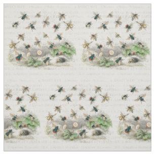Tissu Abeille Reine Entomologie Botanique Vintage