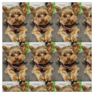 Tissu Adorable