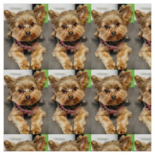 Tissu Adorable (Échantillon)