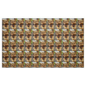 Tissu Adorable (Fat Quarter)