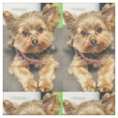 Tissu Adorable (Détail)