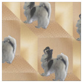 Tissu Adorable chien Papillon sur des cubes d'or (Fermer)