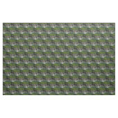 Tissu Aigle Bald Le Gros Catch (Yard)