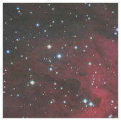Tissu Aigle Nebula (Échantillon)