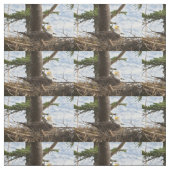 Tissu Aigle nicheur (Échantillon)