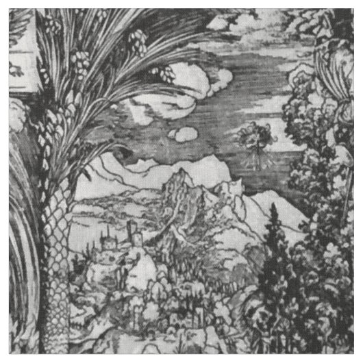 Tissu Albrecht Dürer noir et blanc (Fermer)