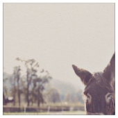 Tissu Alimentation d'âne (Détail)