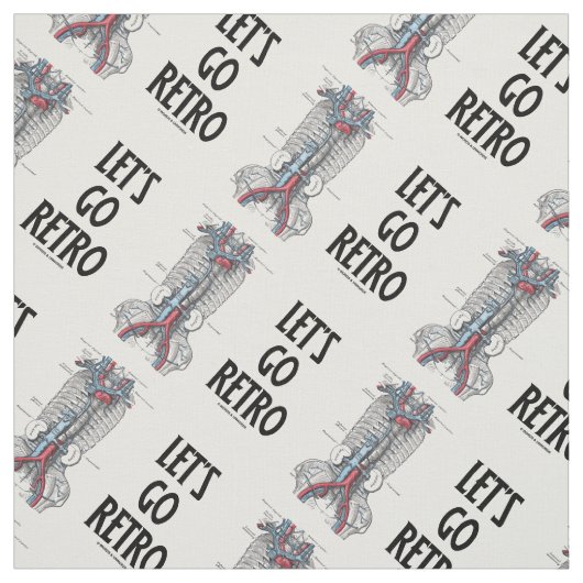Tissu Allons-y Rétro Retroperitoneal Vasculature (Échantillon)