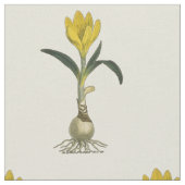 Tissu Amaryllis Tulip Jardin Botanique Fleur (Fermer)