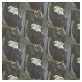 Tissu américain d'Eagle chauve (Échantillon)