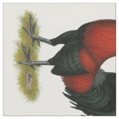 Tissu American Game (Fermer)