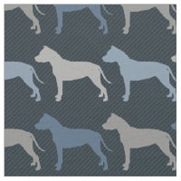 American Staffordshire Terrier