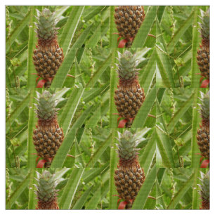 Tissu Ananas sauvage Fruit tropical dans la nature