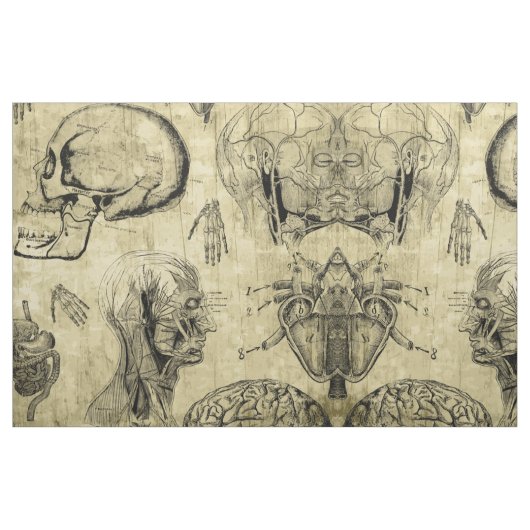 Tissu Anatomie Vintage (Fat Quarter)