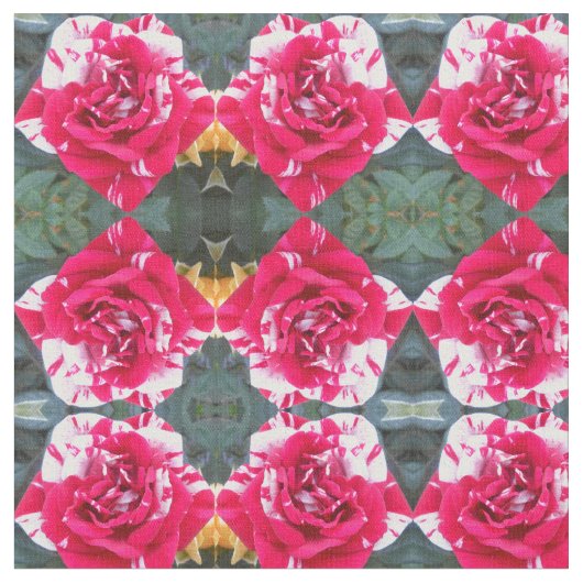 Tissu Ancienne (Fermer)