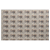 Tissu Âne adorable (Fat Quarter)