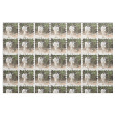 Tissu Âne gris (Fat Quarter)