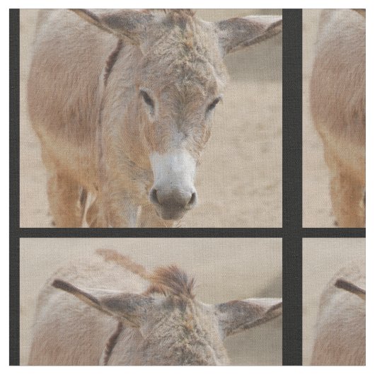 Tissu Âne seul (Fermer)