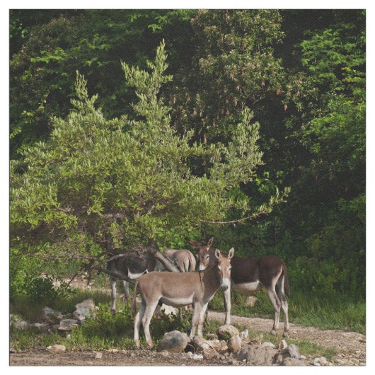 Tissu Ânes sous l'arbre (Échantillon)