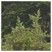 Tissu Ânes sous l'arbre (Détail)