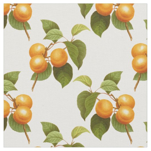 Tissu Apricots (Fermer)