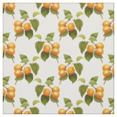 Tissu Apricots (Échantillon)