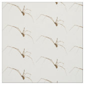 Tissu Araignée (Échantillon)