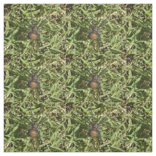 Tissu Araignée De Raideur Sur L'Herbe Verte, (Échantillon)