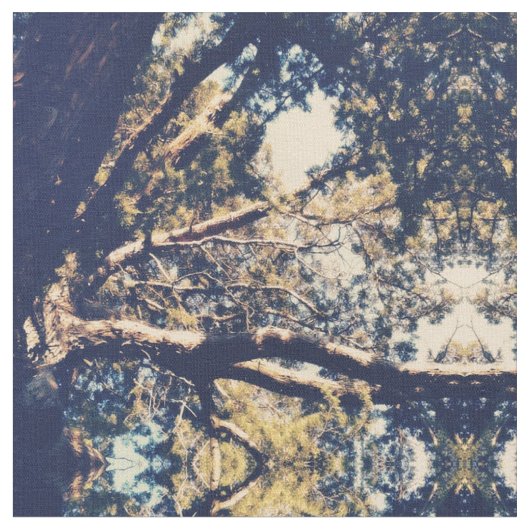 Tissu Arbre (Fermer)