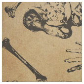 Tissu Archéologie de l'anatomie osseuse (Échantillon)