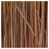 Tissu Arrière - plan Hay (Échantillon)