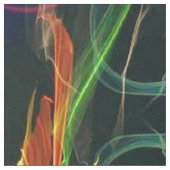 Tissu Art populaire de floraison de feux d'artifice (Fermer)