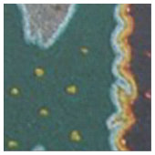 Tissu Art tribal ethnique Boho de déesse aztèque maya (Fermer)