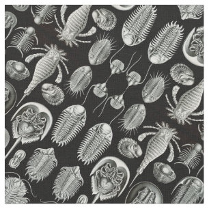 Tissu Aspidonia d'Ernst Haeckel