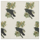 Tissu Audubon Raven Oiseau classique (Échantillon)