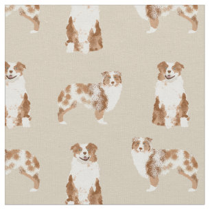 Tissu Austrarlian Shepherd roux merle