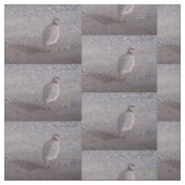 Tissu avec la conception de Chukar (Échantillon)